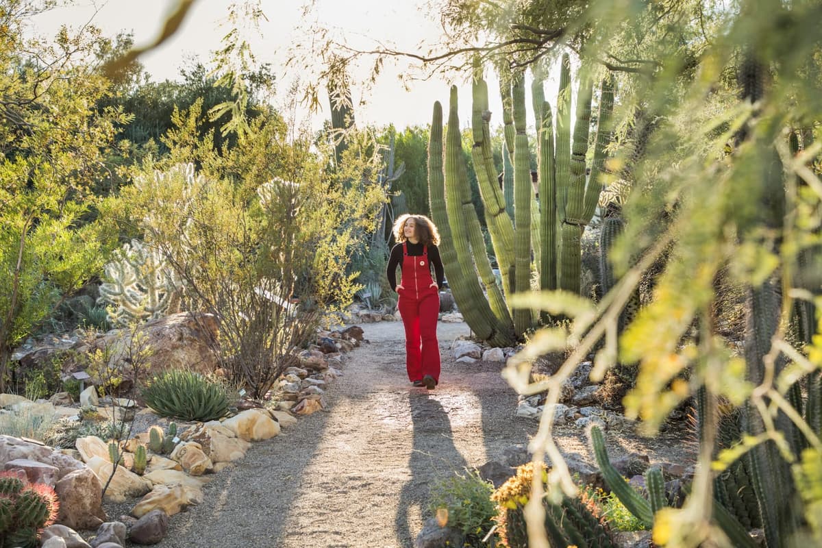 Thieves Market - Tucson