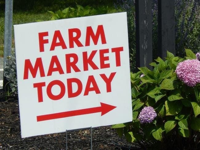 Sandwich Bourne Farmers Market