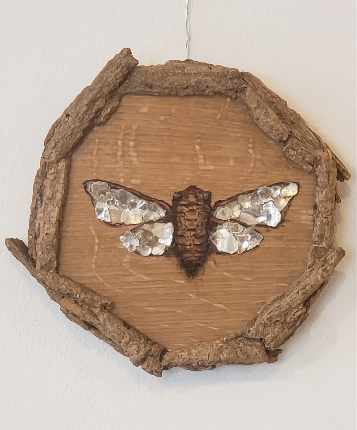 "Cicada I" | 2026 original artwork