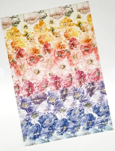 Perennial Vellum Rainbow Florals by Lauren Phelps Designs