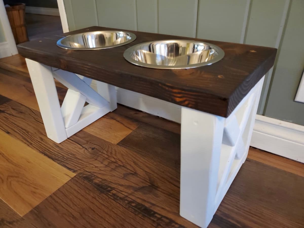Raised Dog Food Dish