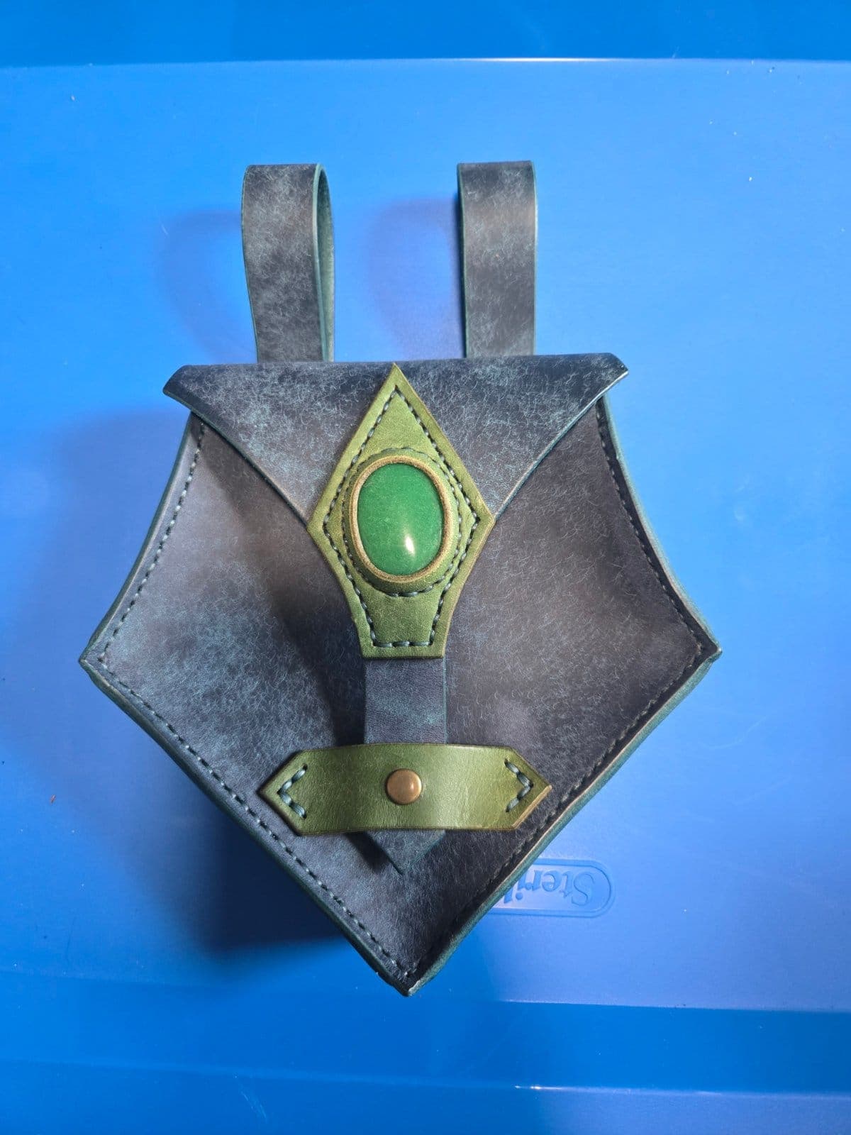 Scarab bag. Pueblo leather. 
