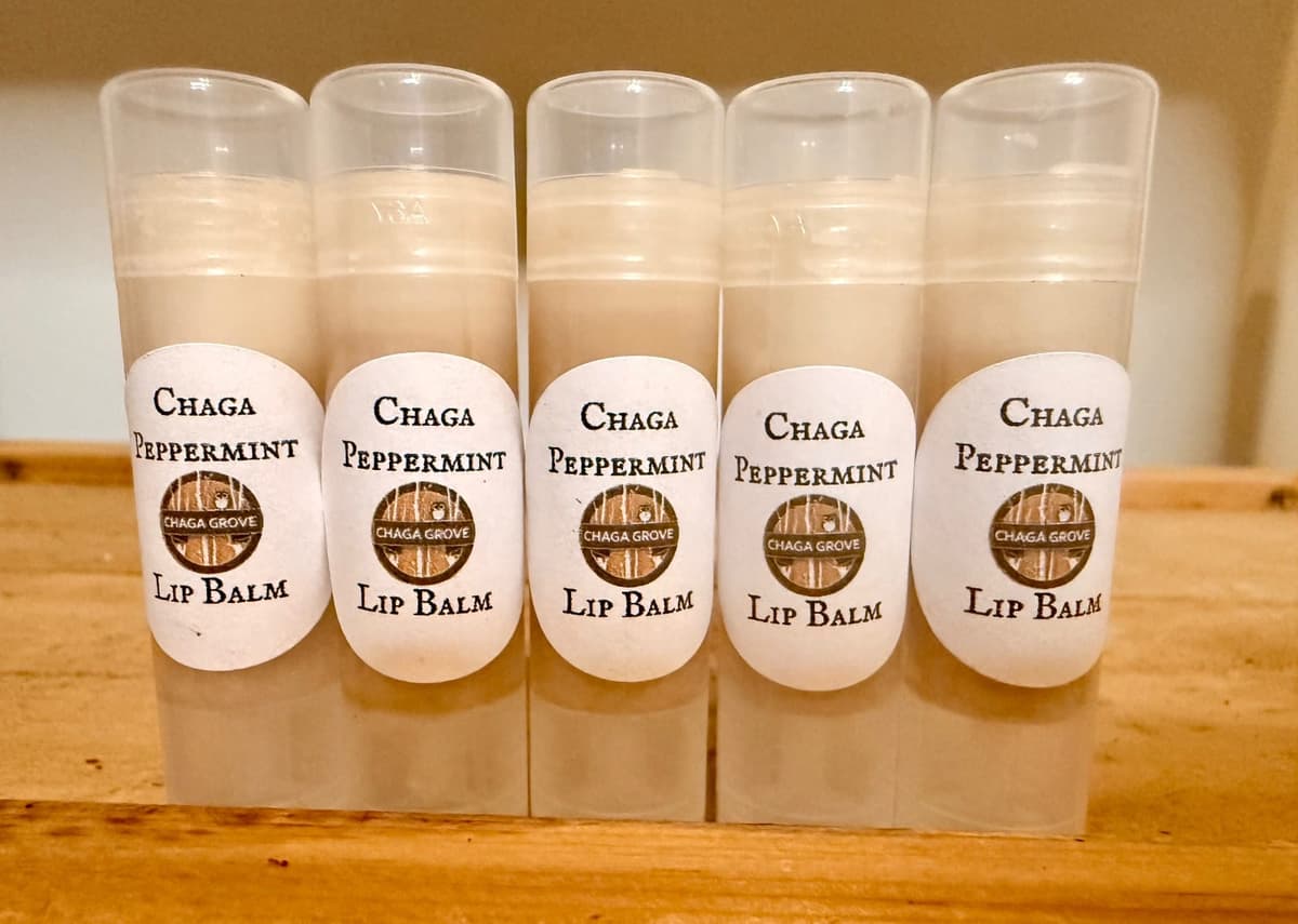 Chaga Lip Balm