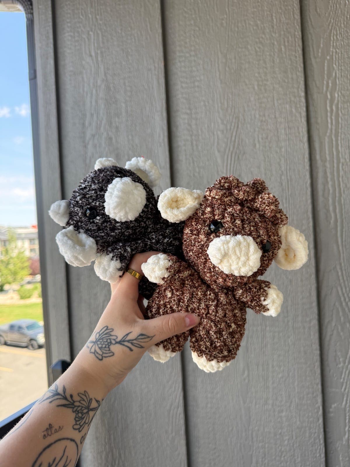Mini Cows