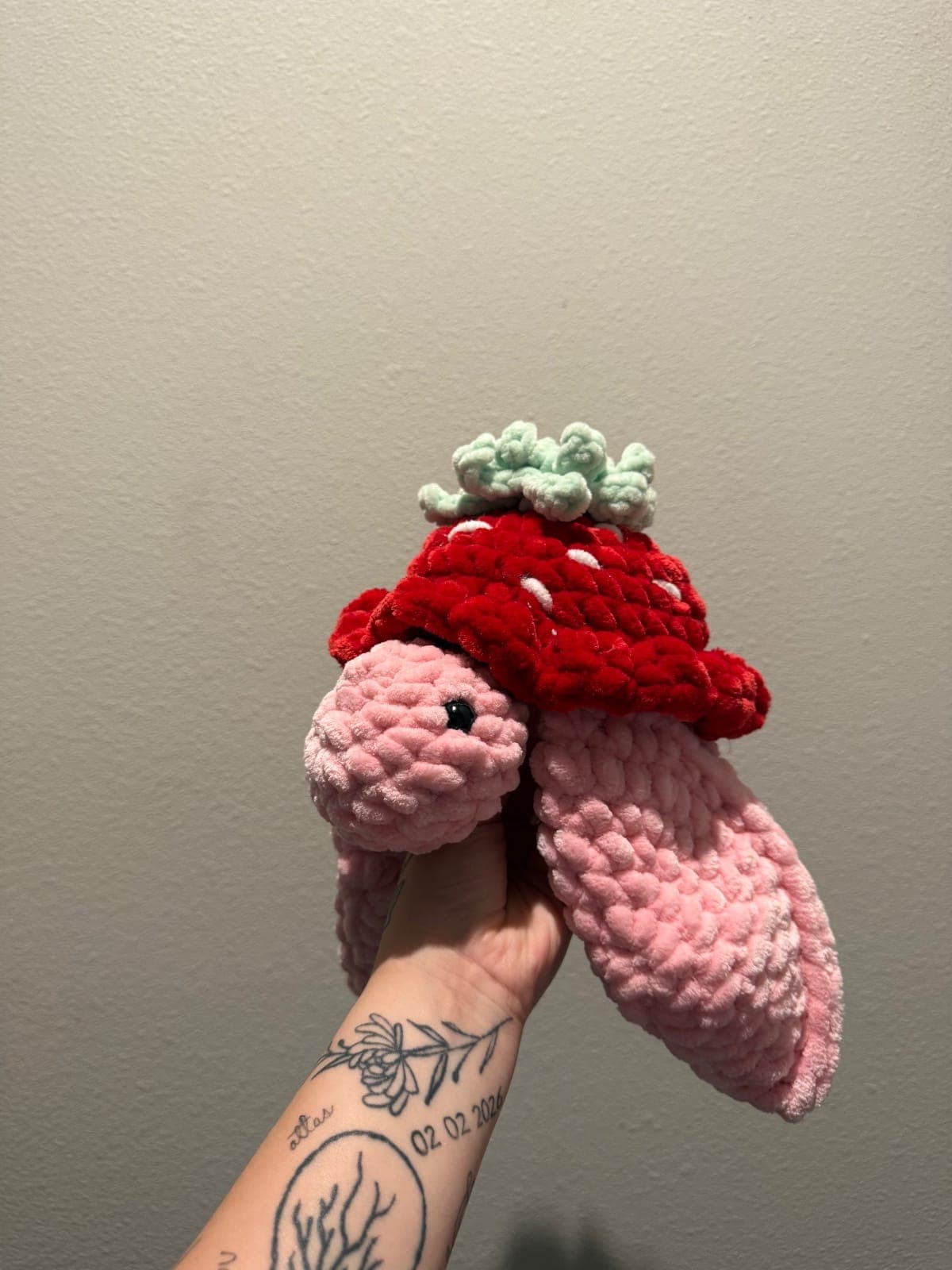 Strawberry turtle 