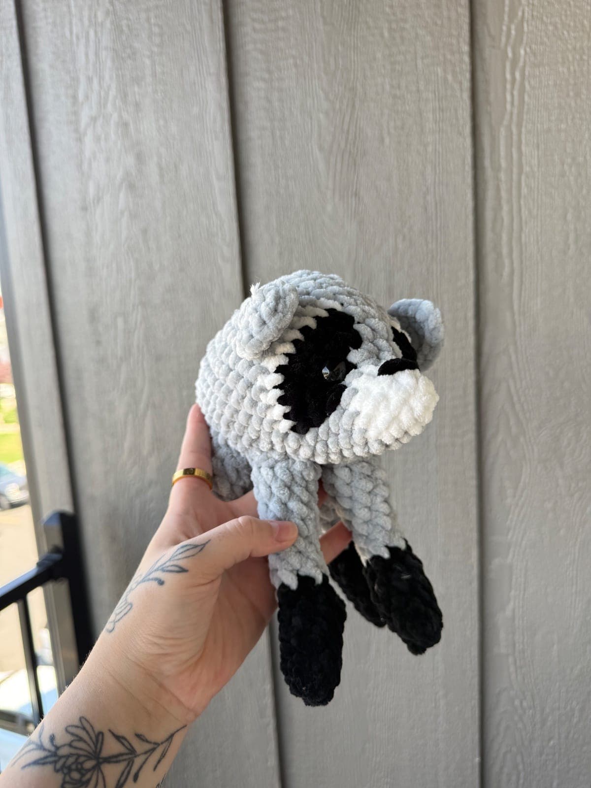 Jimothy the Raccoon 