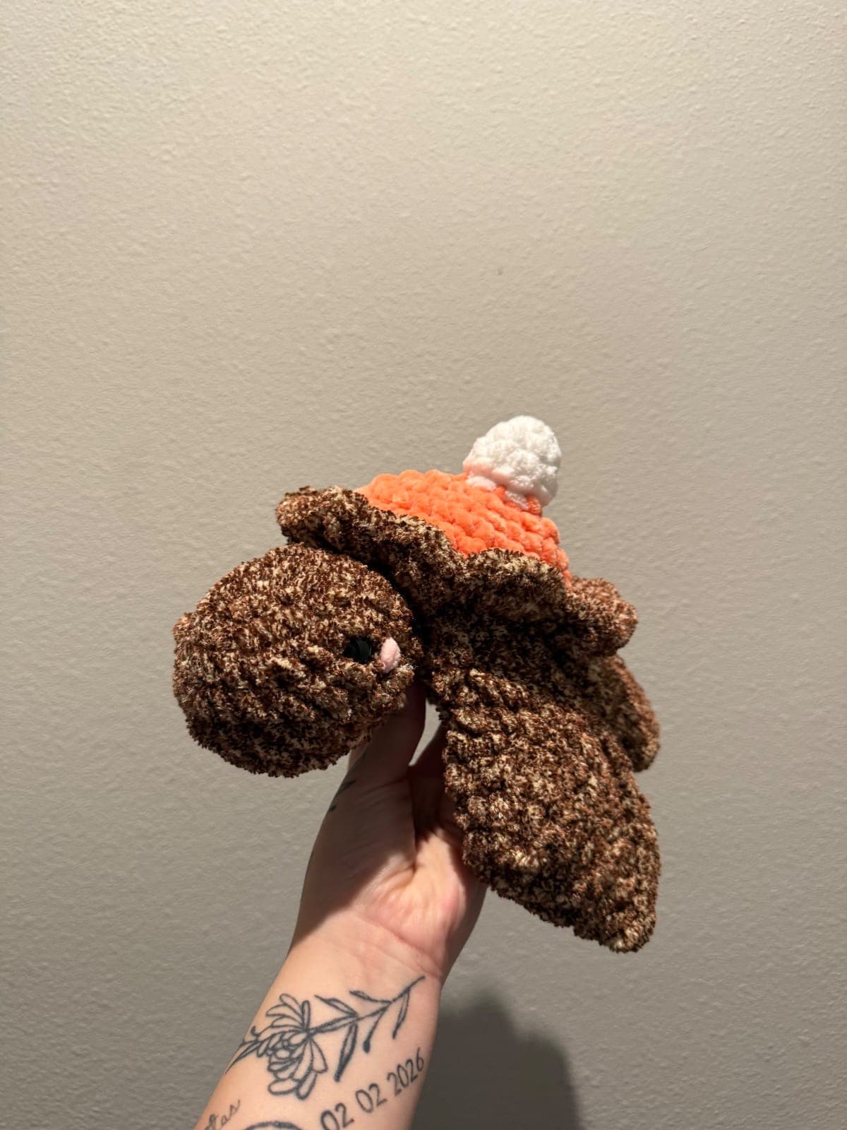 pumpkin Pie Turtle 
