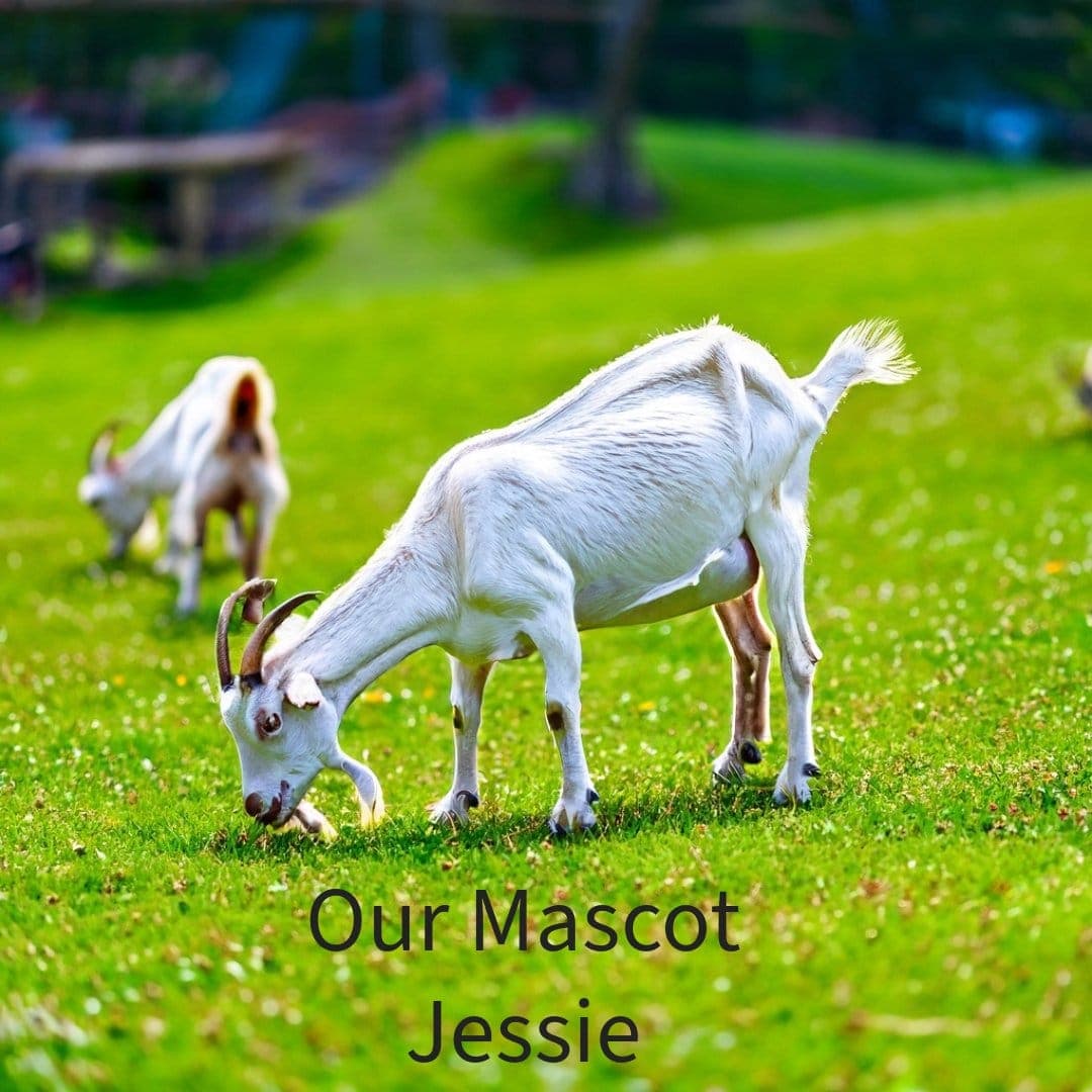 Unscented Goat Milk Lotion