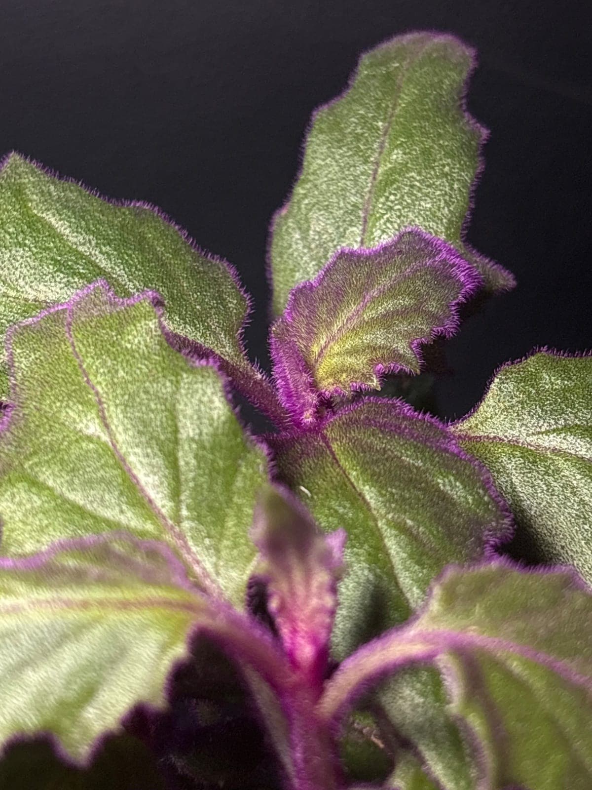 View photo 2 of 12