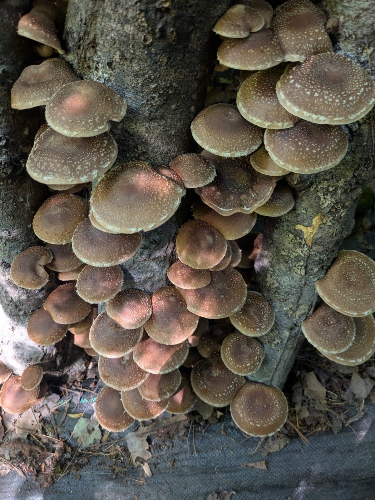 View photo 1 of 1