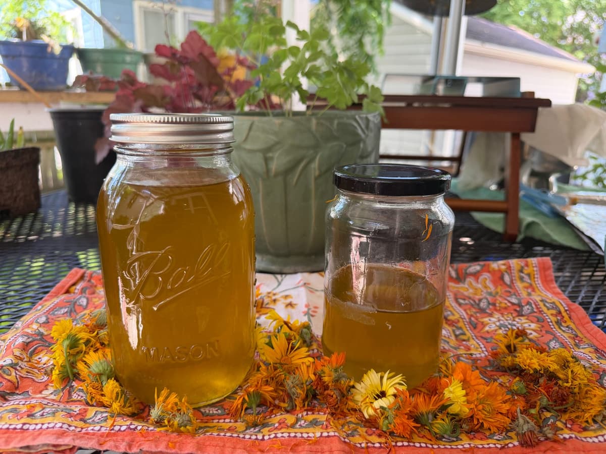 Making Calendula oil