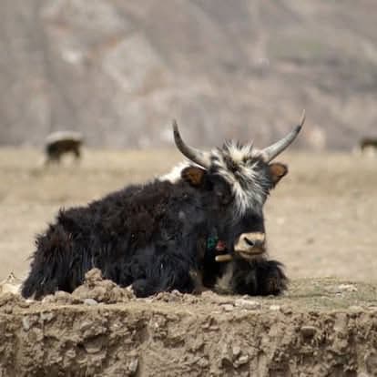 View photo 4 of 9