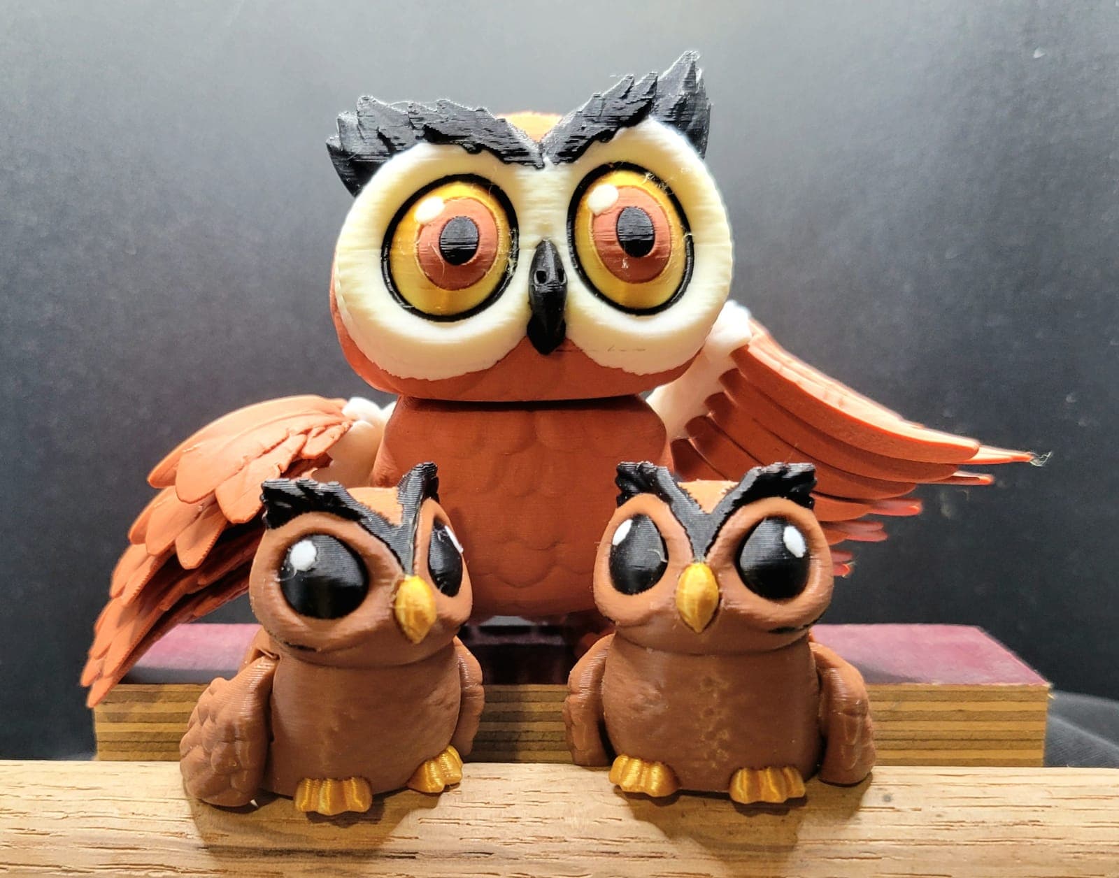 Owl family