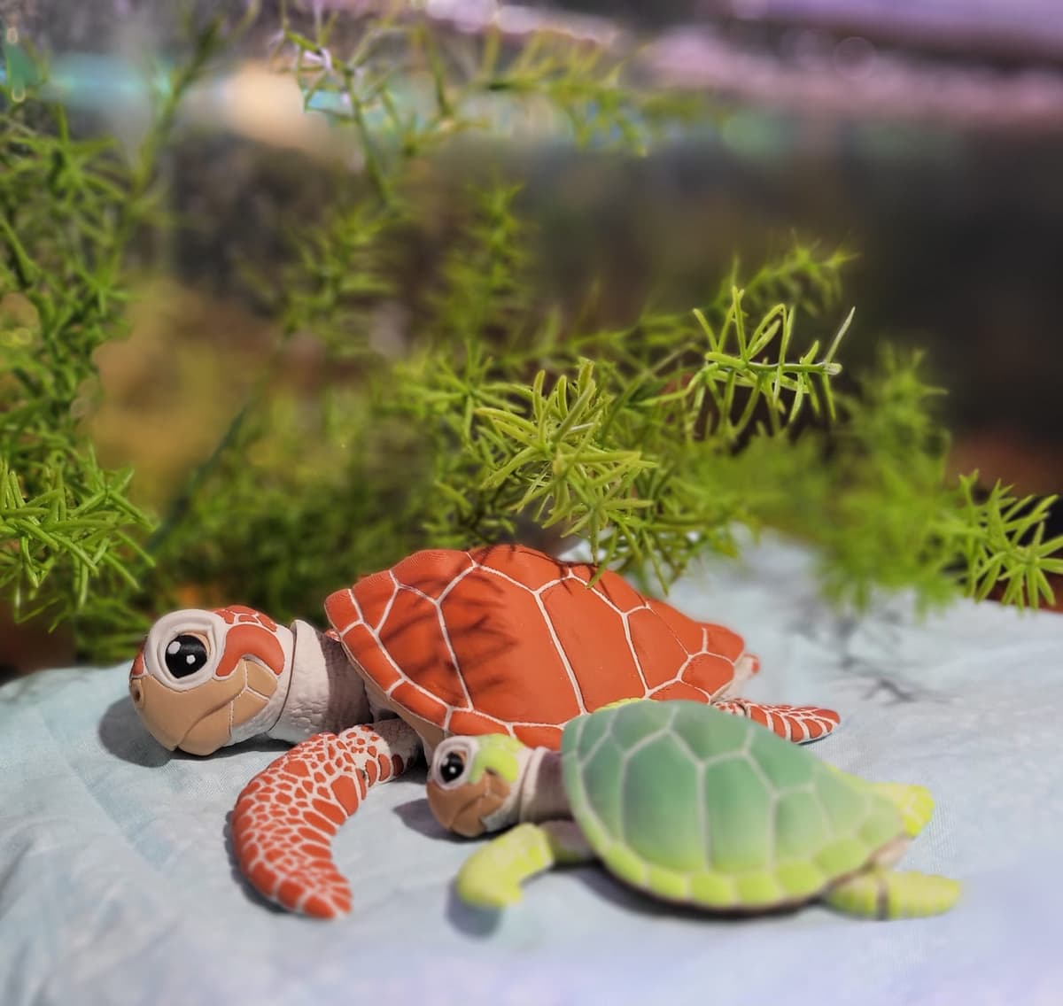 Sea turtles large and small