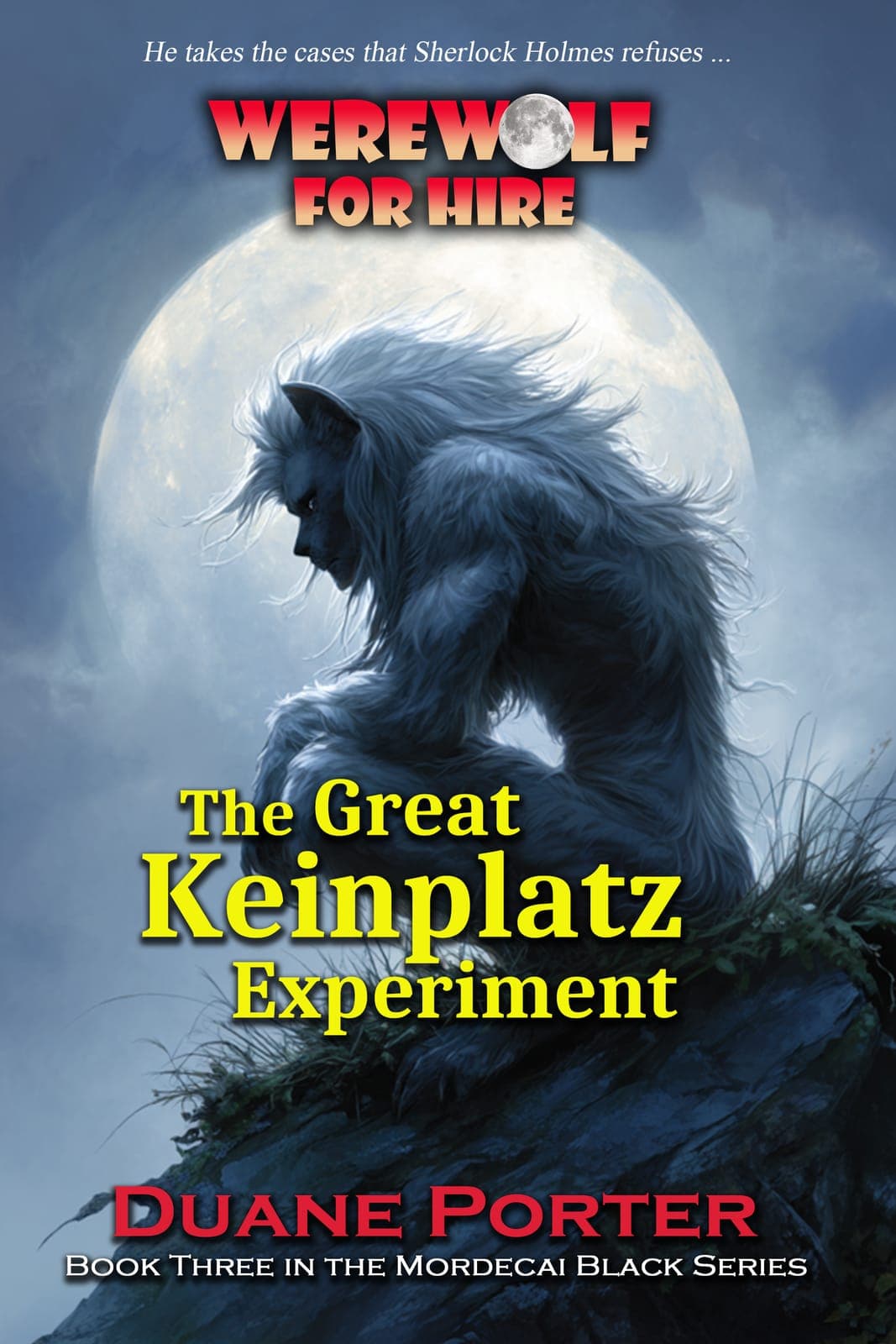 Red Boar Studios LLC cover photo