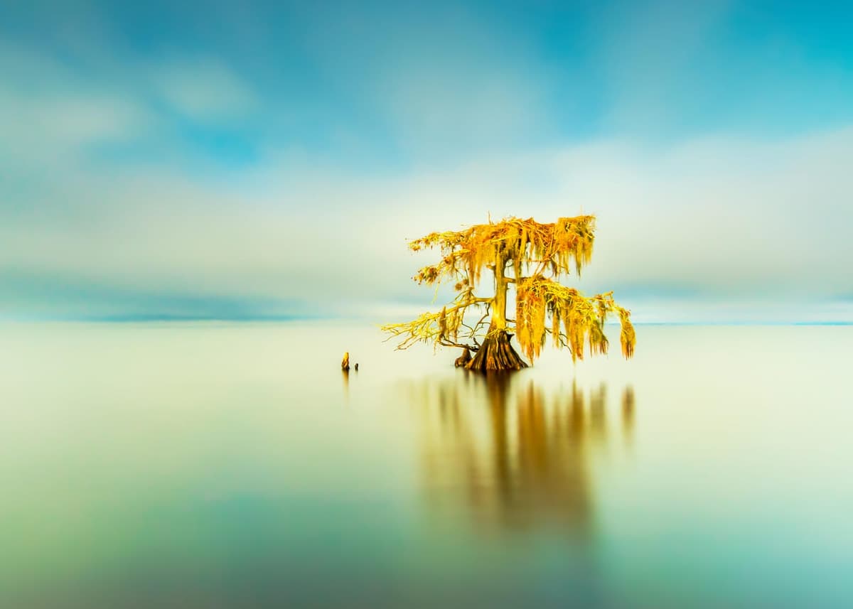 russell satterthwaite inc cover photo