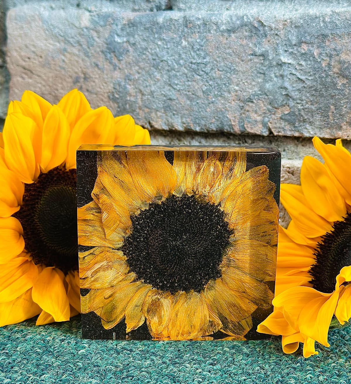 Mae Florals cover photo