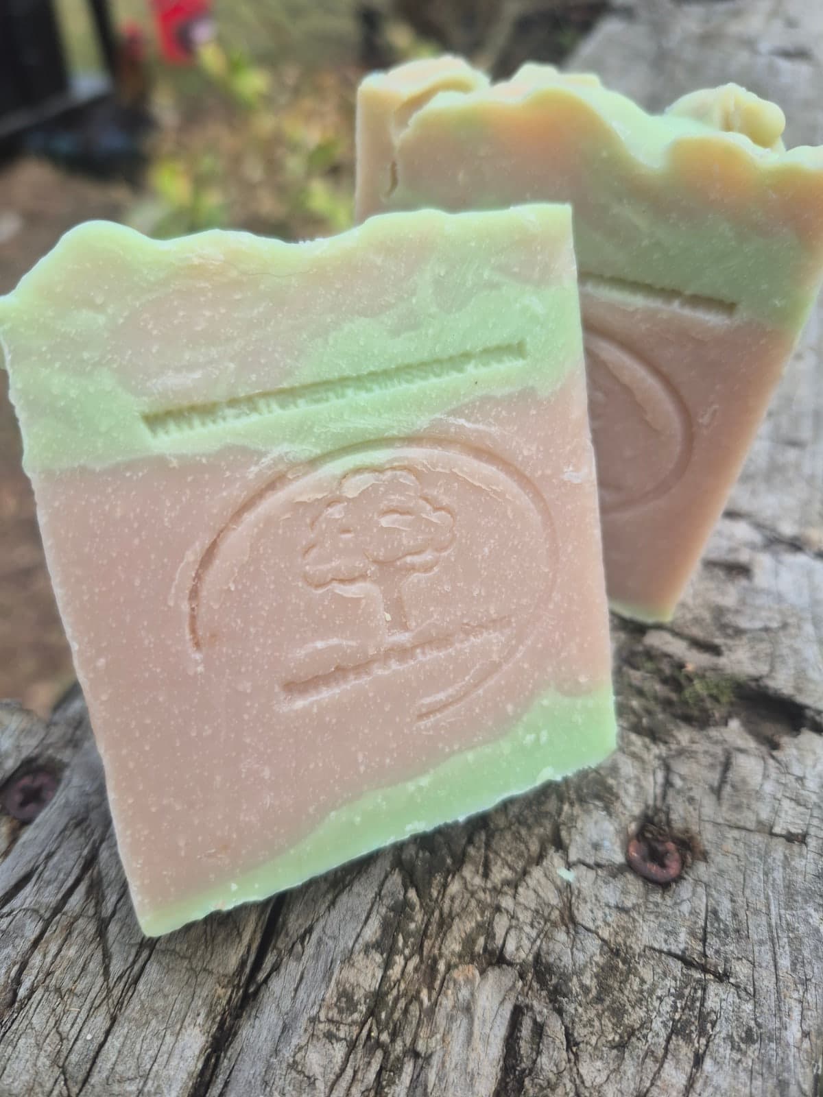 Harvest, tallow based soap