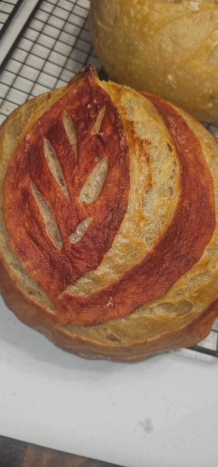 View photo 5 of 8
