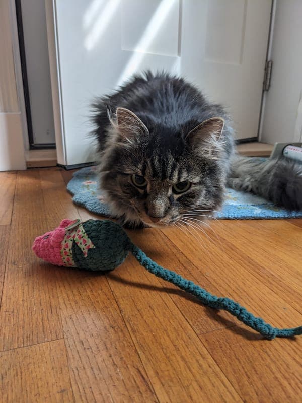 Under the Sofa Cat Toys