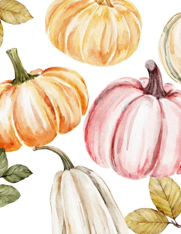 HUDDLE & Harvest Festival