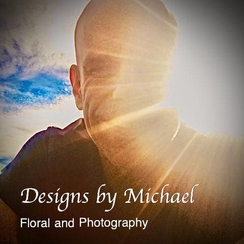 Designs by Michael