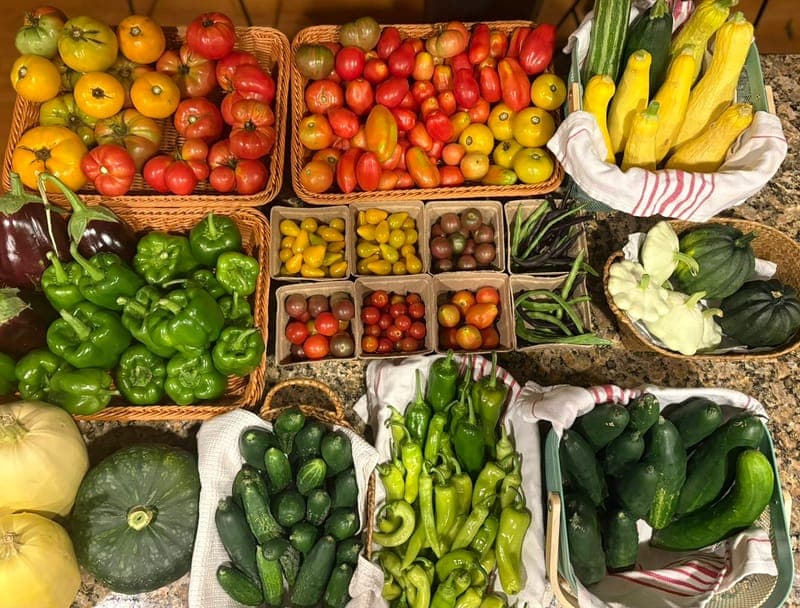 Little Farm on Locust