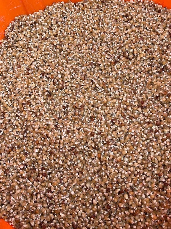 Rascon Farming