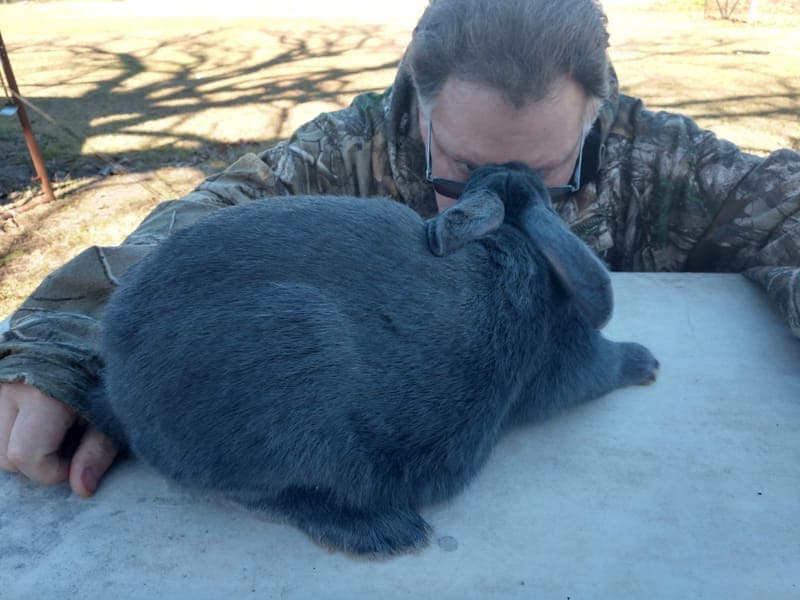 JW Wabbitry, Inc.