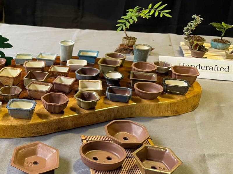 Below the Roots Miniature Bonsai Pots