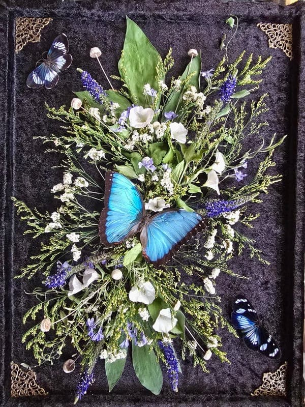Nell's Canvas