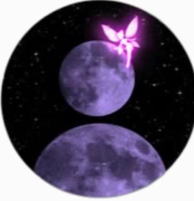 Moon Cookies
