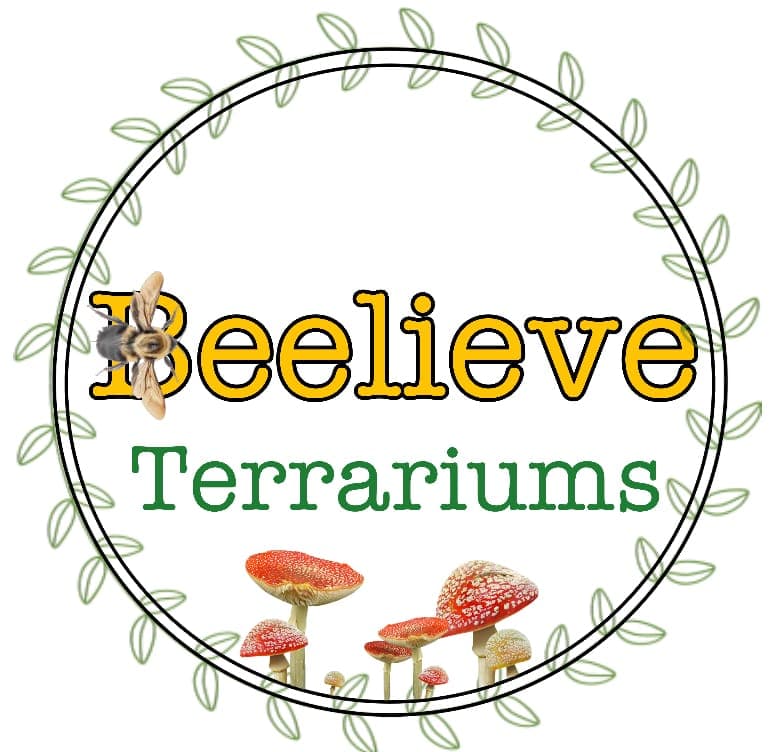 Beelieve Terrariums