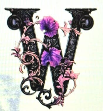 Wreath & Whimsy