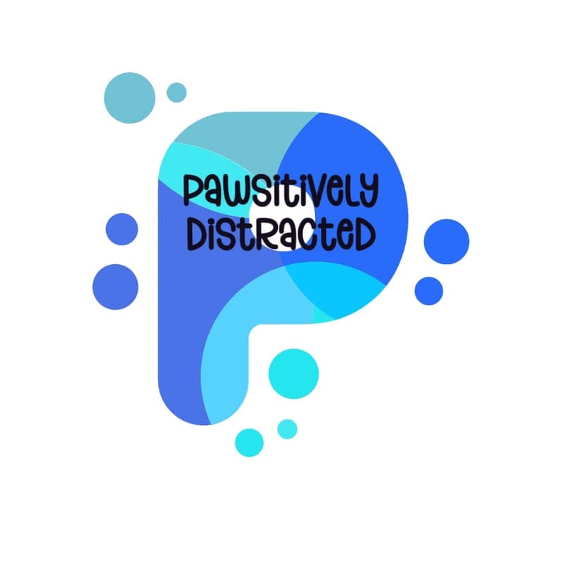 Pawsitively Distracted