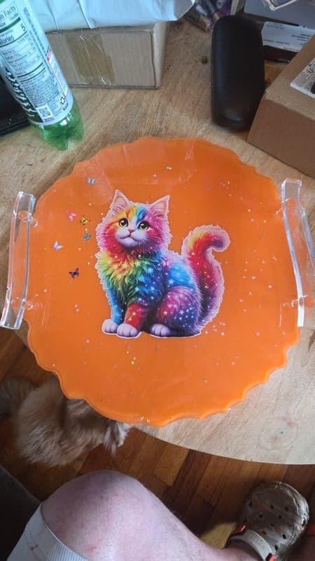Rainbow cat tray