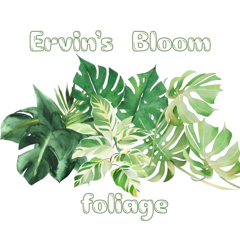 Ervin’s Bloom