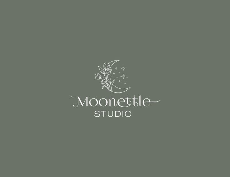 Moonettle Studio LLC