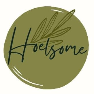 Hoelsome LLC