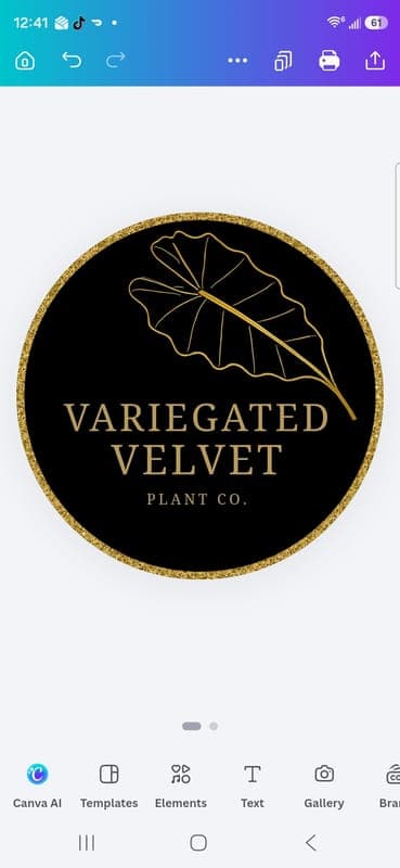 Variegated Velvet Plant Co
