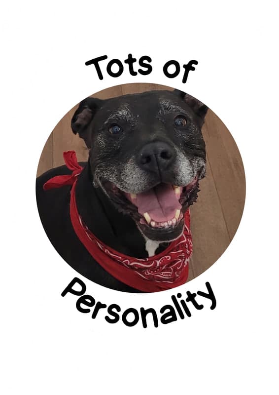 Tots of Personality
