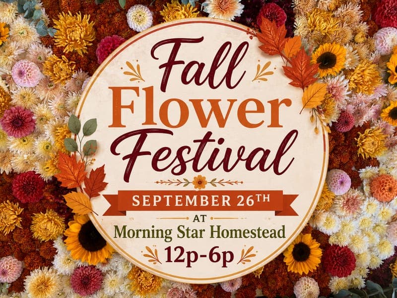 Fall Flower Festival Vendor Market and Flower U-Pick