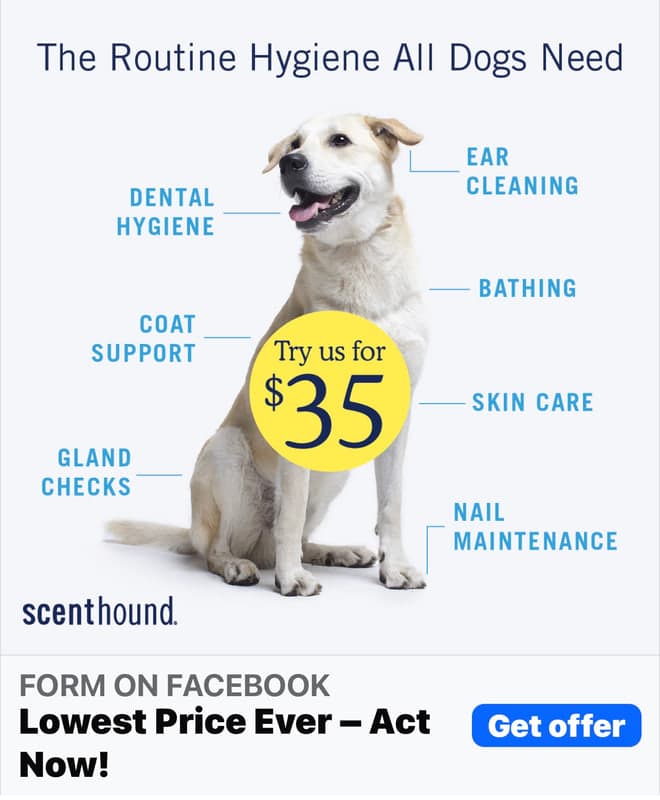 Scenthound