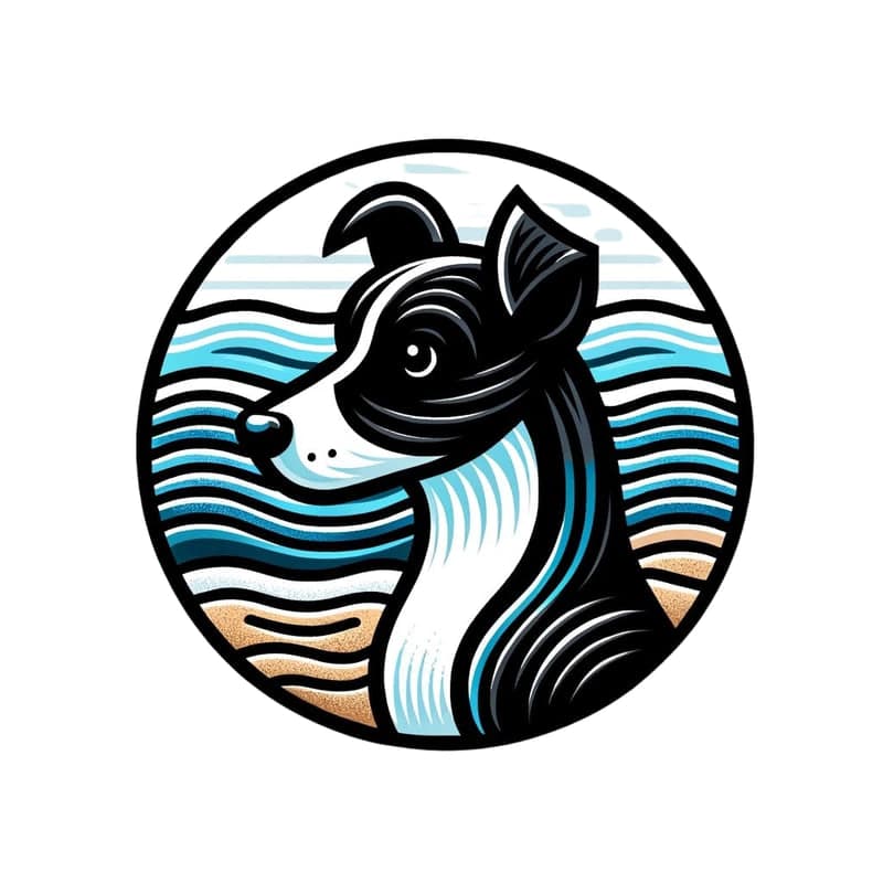 Salty Dog Beach Glass