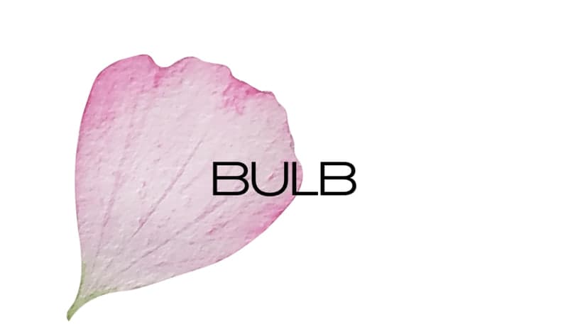 Bulb, LLC