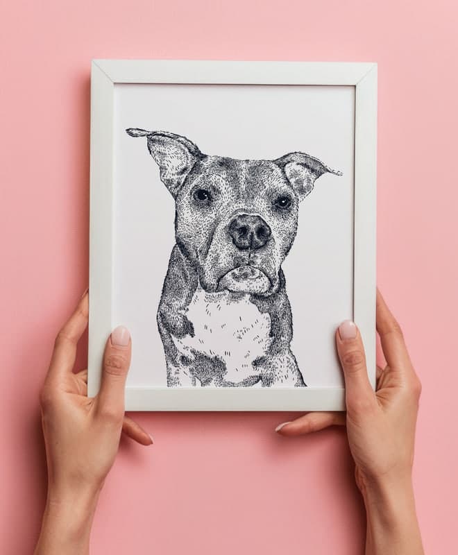Custom Pet Portraits