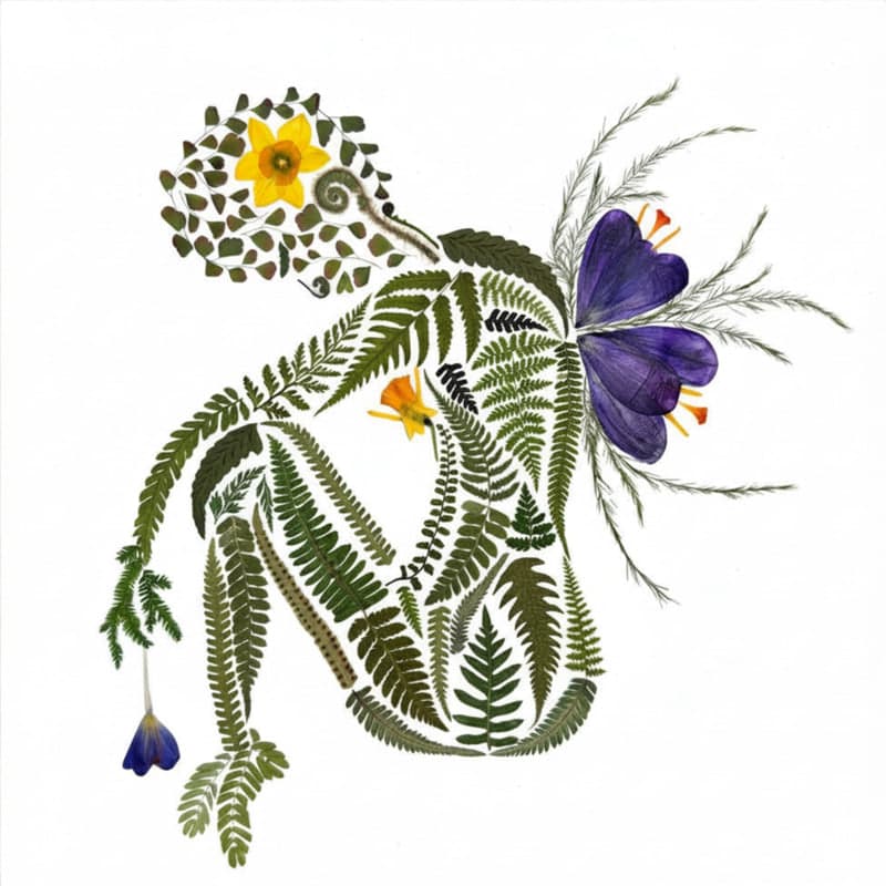 The Mermaid Spirit Pressed Flower Art