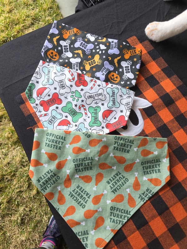 Doggie Bandana