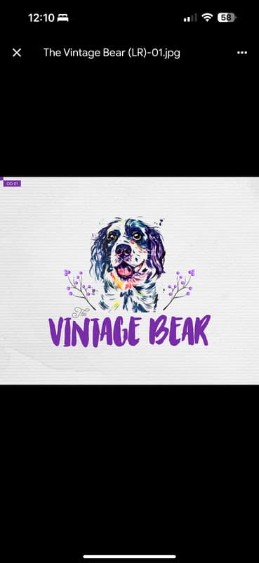 The Vintage Bear