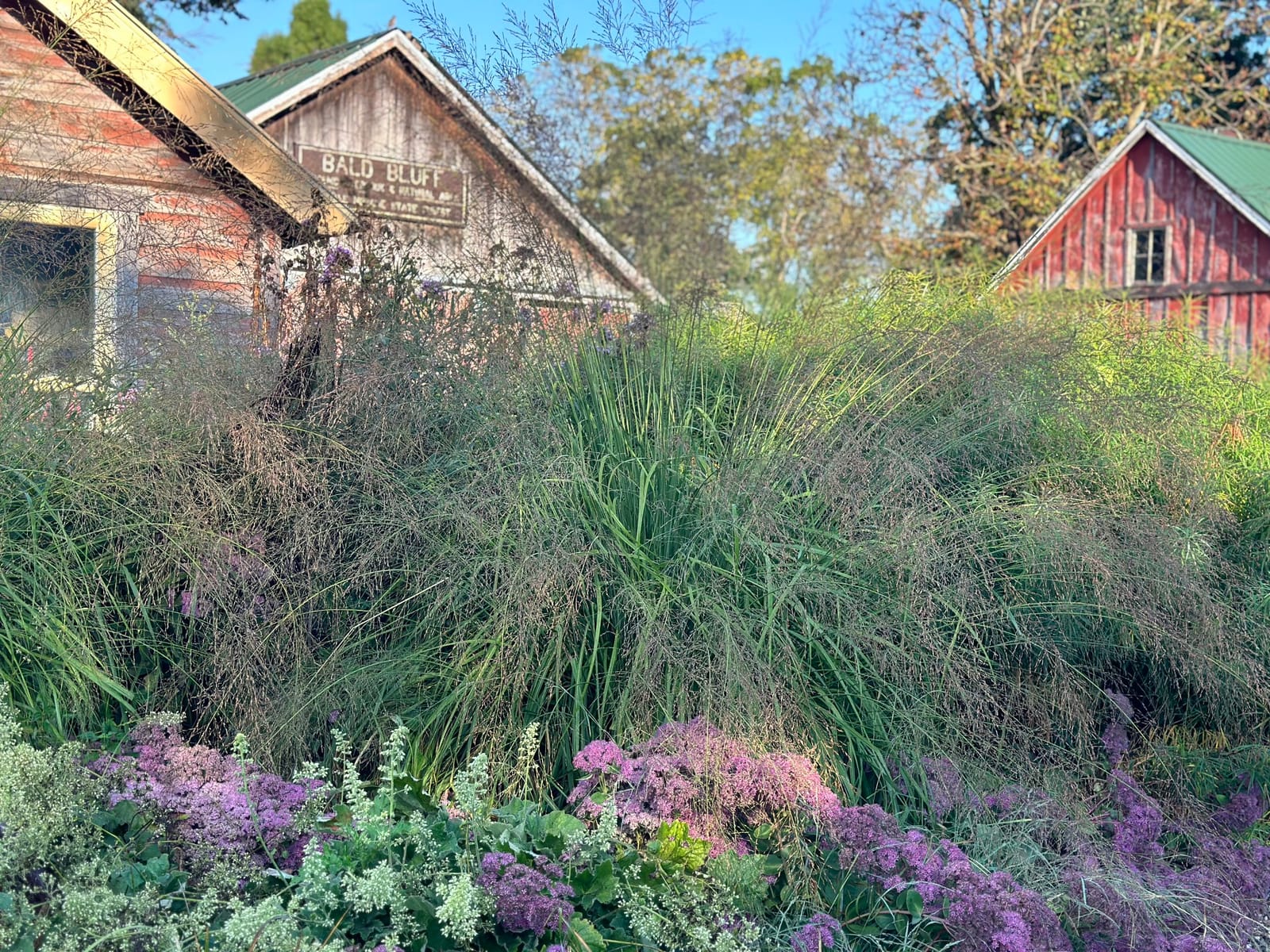 Northwind Perennial Farm Market cover photo